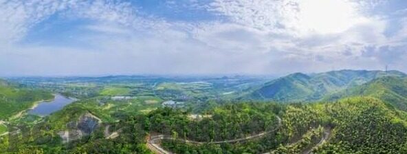 大家应足球比分-足球比分背后，一场全民参与的数字狂欢与情感博弈