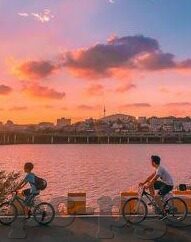 可以玩森林舞会的平台-可以玩森林舞会的平台，连接自然与娱乐的桥梁
