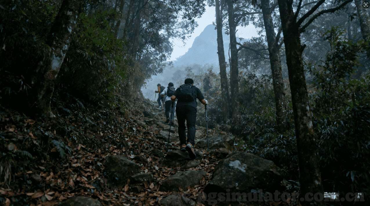 森林和舞会游戏机游戏中心-森林舞会，游戏中心的新奇体验